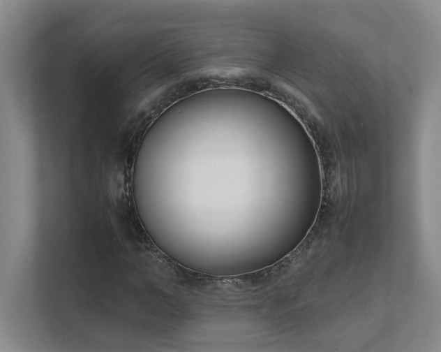 X0000111490966200907211006