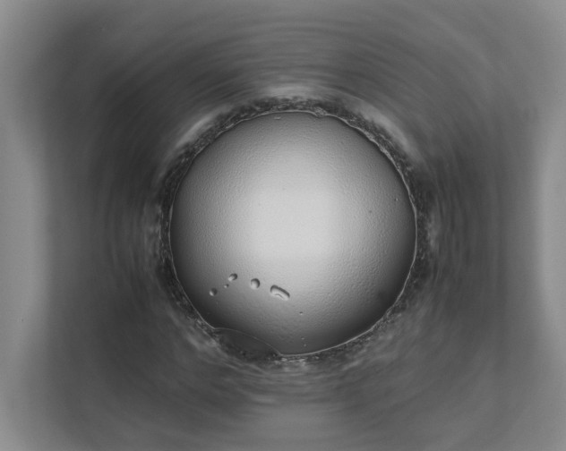 X0000111490968200907211006