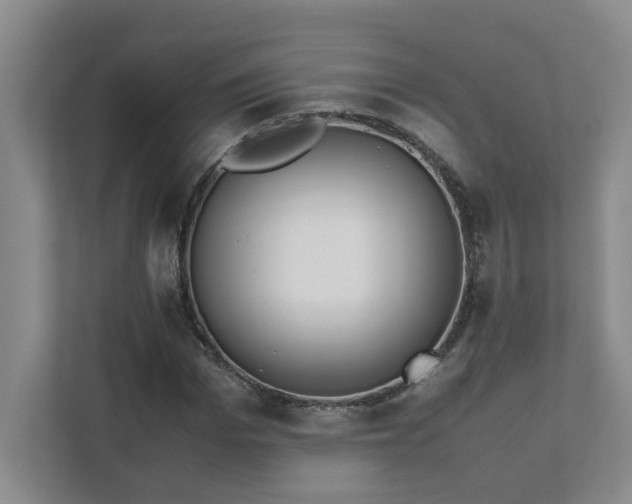 X0000111490969200907211006