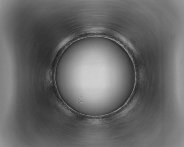 X0000111490970200907211006