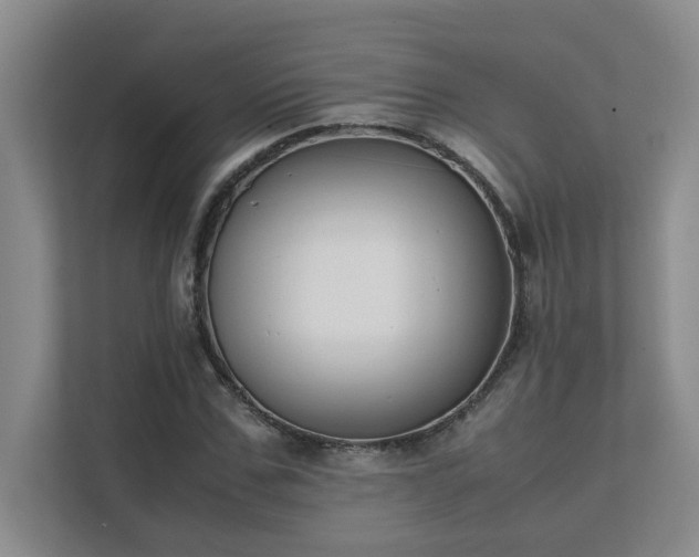 X0000111490971200907211006