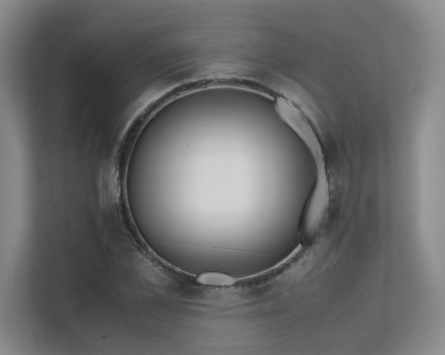 X0000111490973200907211006