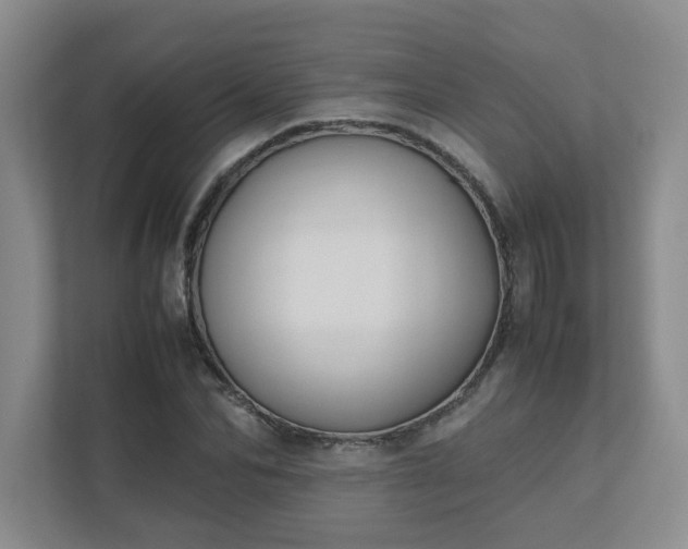 X0000111490974200907211006