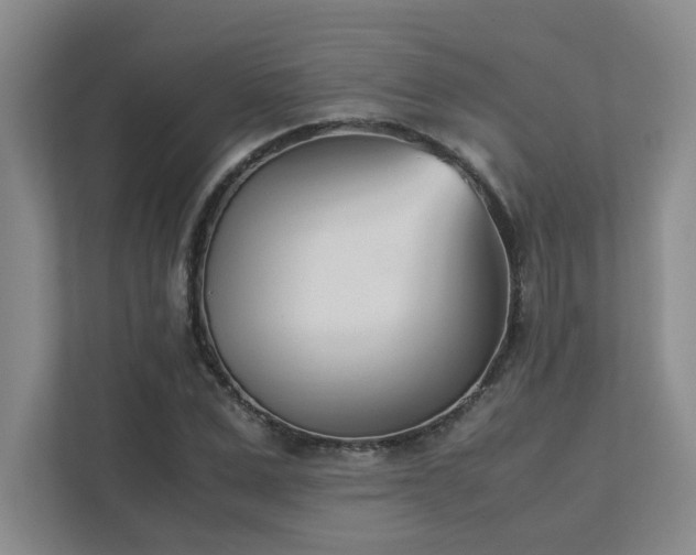 X0000111490975200907211006