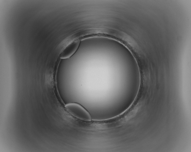 X0000111490977200907211006