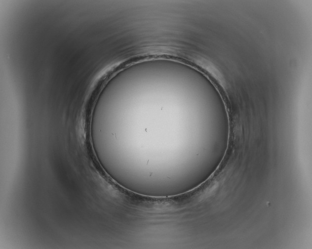 X0000111490979200907211006