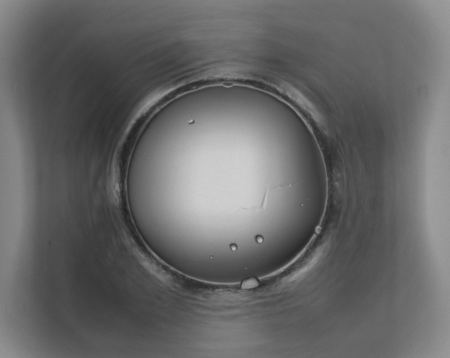 X0000111490981200907211006