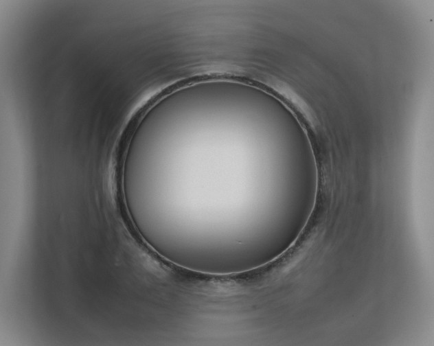 X0000111490983200907211006