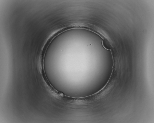 X0000111490984200907211006