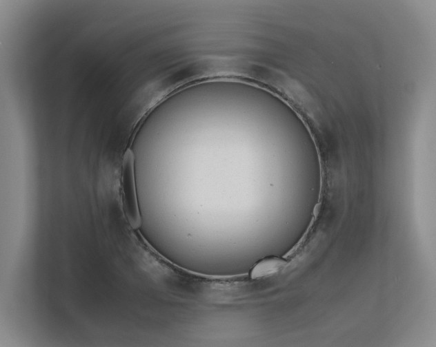 X0000111490985200907211006