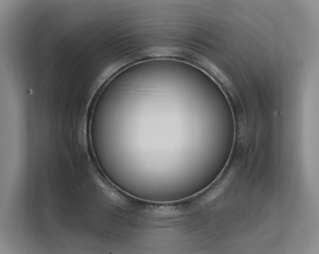 X0000111490986200907211006