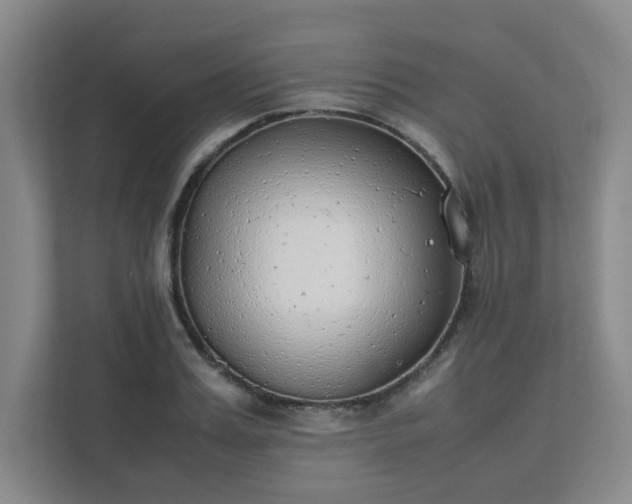 X0000111490987200907211006