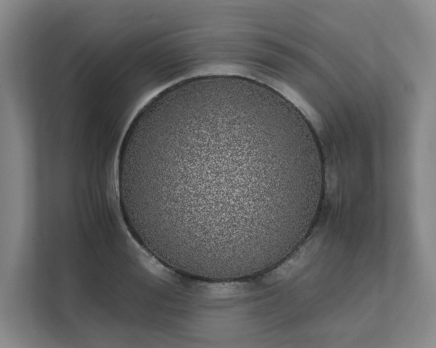 X0000111490988200907211006