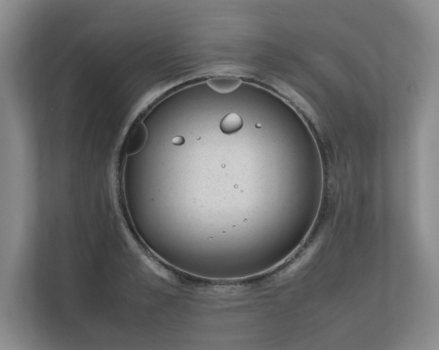 X0000111490989200907211006