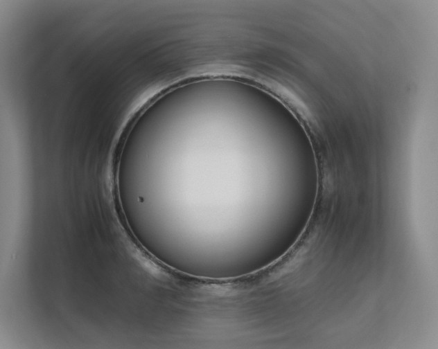 X0000111490990200907211006