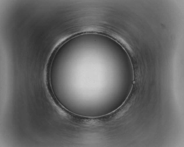 X0000111490991200907211006