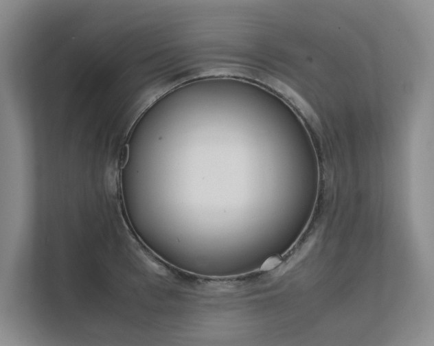 X0000111490993200907211006