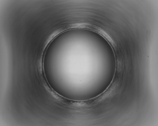 X0000111490994200907211006