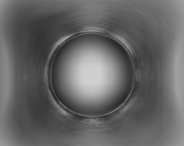 X0000111490995200907211006