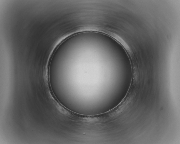 X0000111490996200907211006