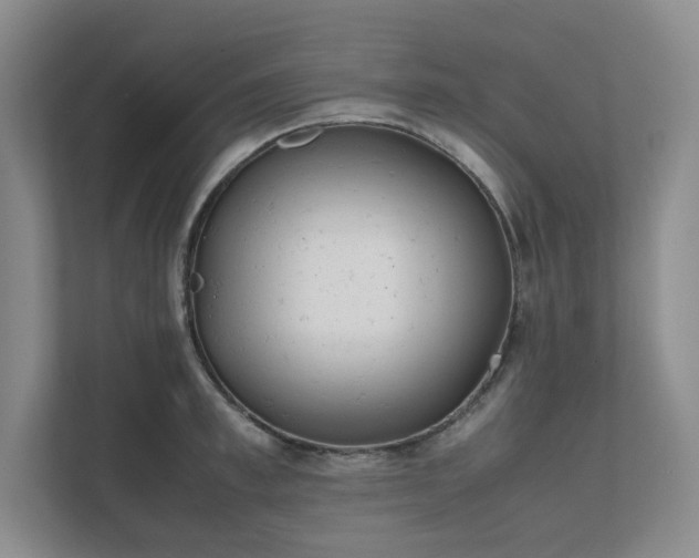 X0000111490997200907211006