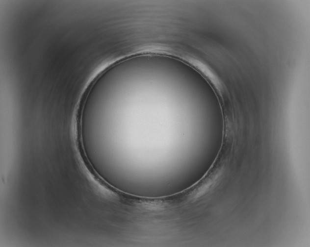 X0000111490999200907211006