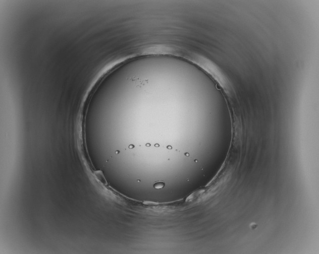 X0000111491000200907211006