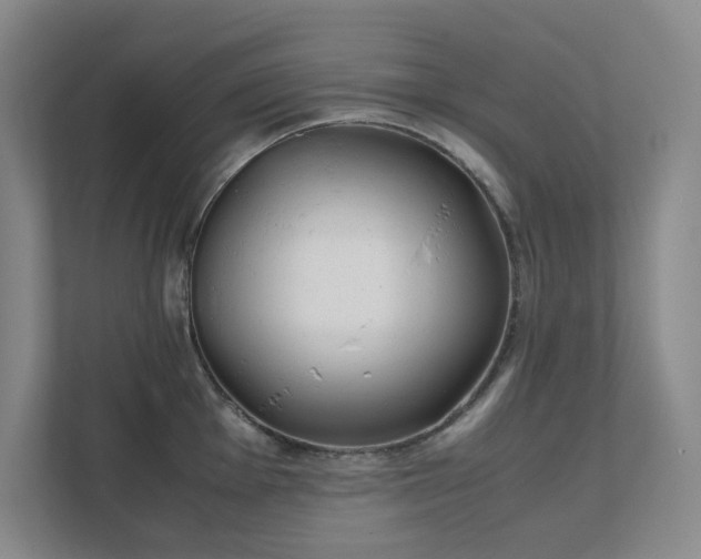 X0000111491001200907211006