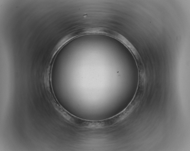 X0000111491002200907211006