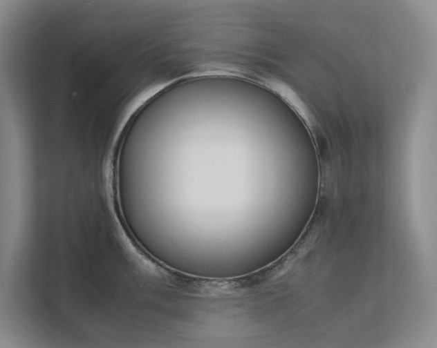 X0000111491003200907211005