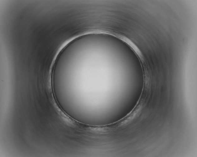 X0000111491004200907211005