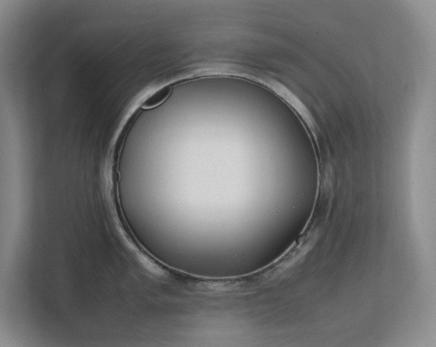 X0000111491005200907211005