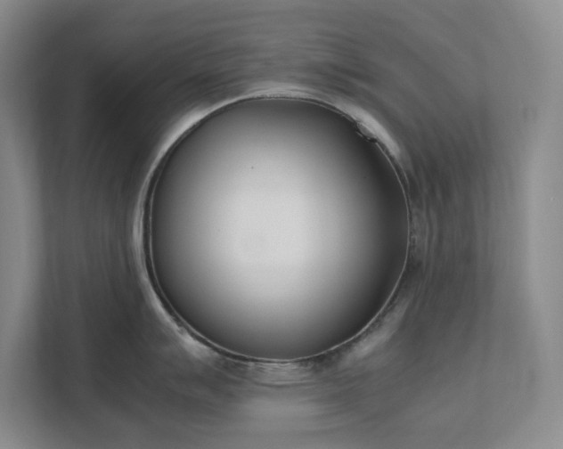 X0000111491007200907211005