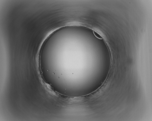 X0000111491008200907211005