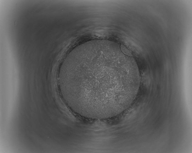 X0000111491009200907211005