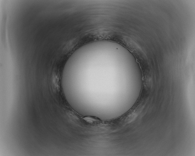 X0000111491010200907211005