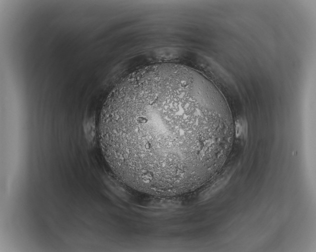 X0000111491011200907211005