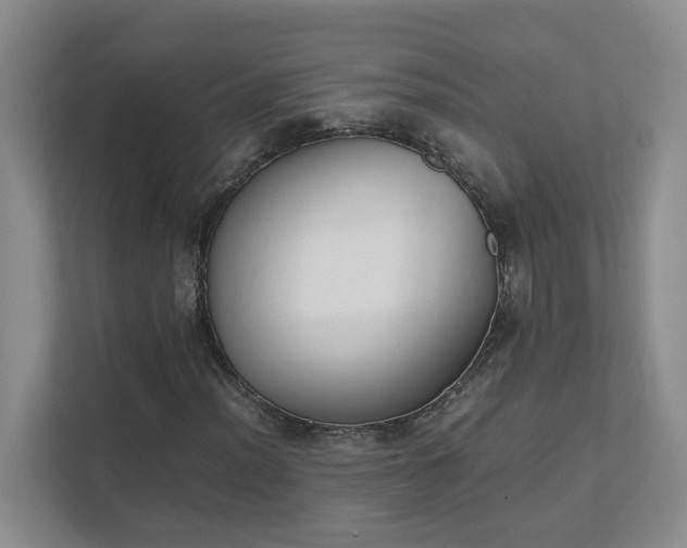 X0000111491012200907211005