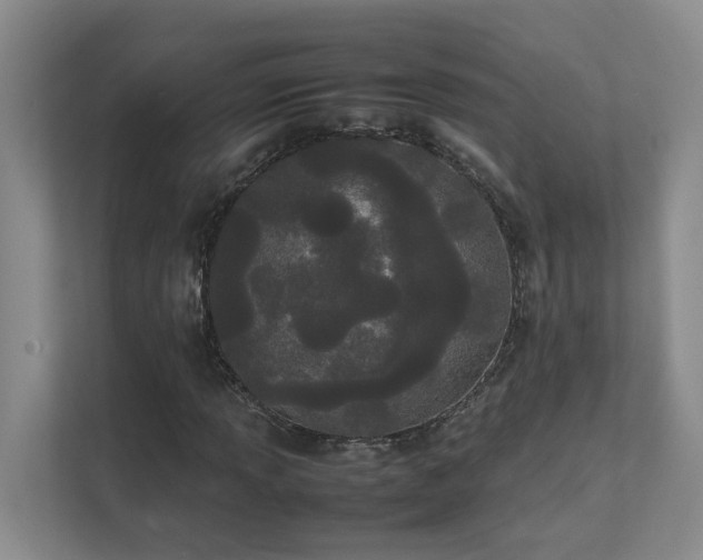 X0000111491013200907211005