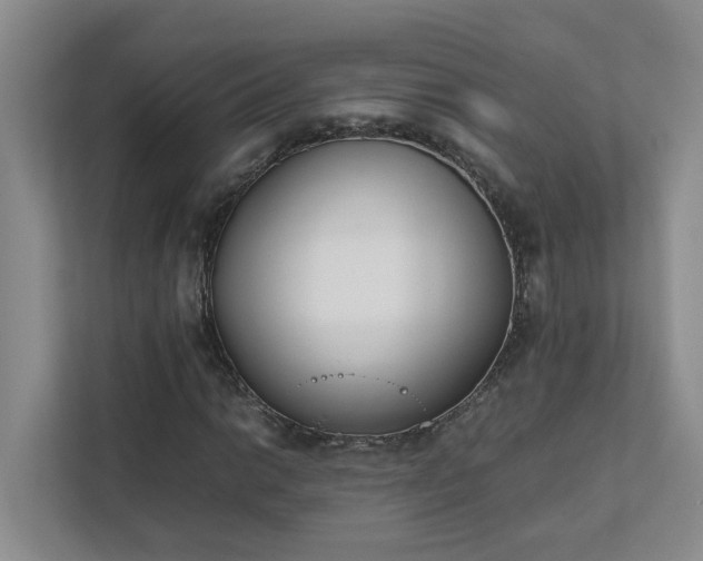 X0000111491014200907211005