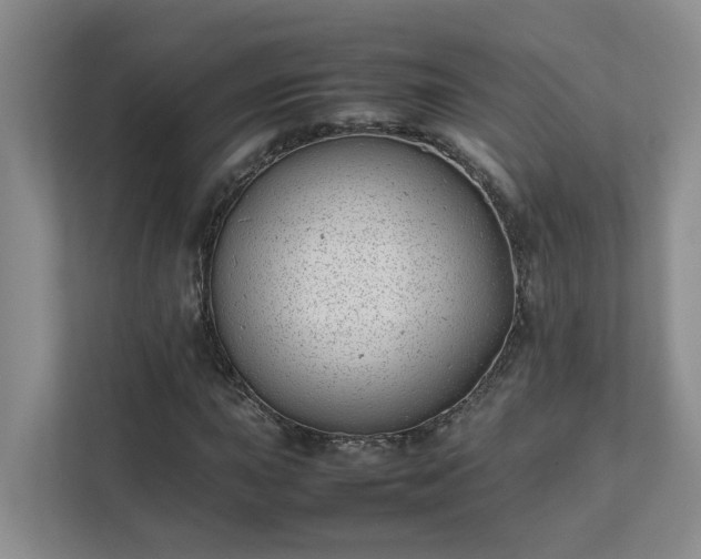 X0000111491015200907211005