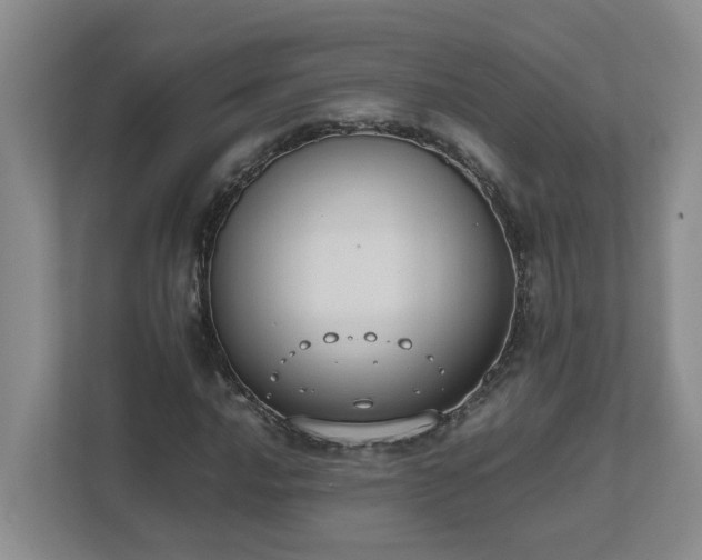 X0000111491016200907211005