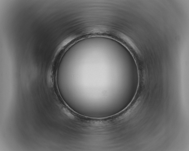 X0000111491018200907211005