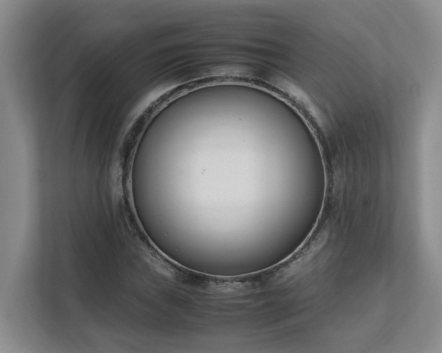 X0000111491019200907211005