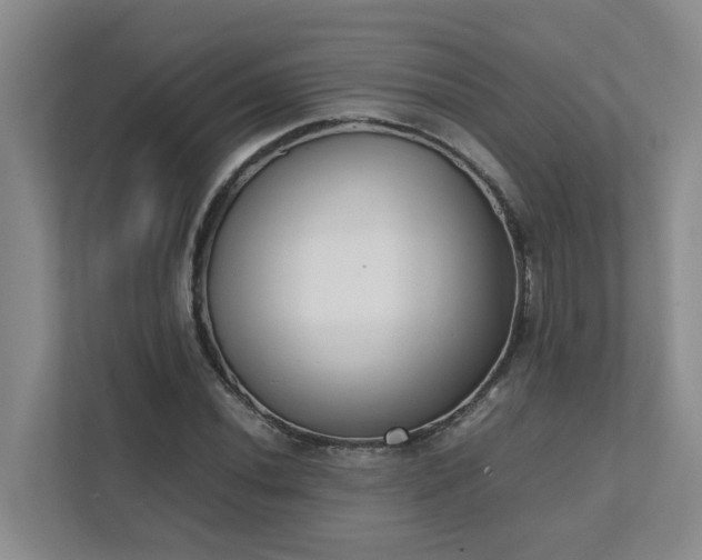 X0000111491020200907211005