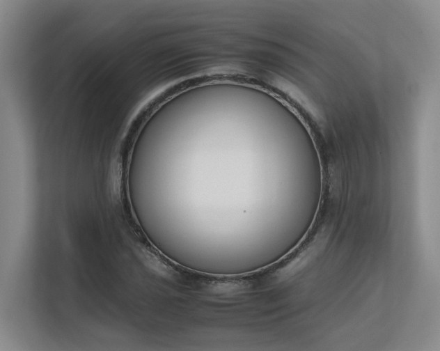 X0000111491021200907211005