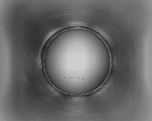 X0000111491022200907211005