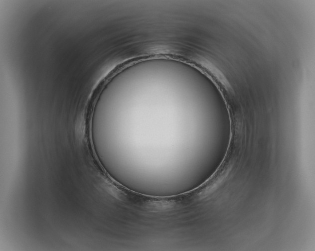 X0000111491023200907211005