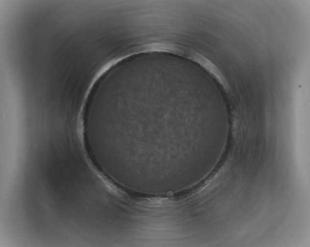 X0000111491024200907211005