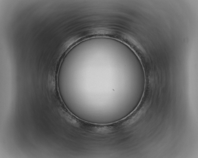 X0000111491025200907211005